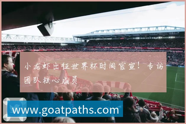 世界杯比分图表：完整赛果与比分查询指南